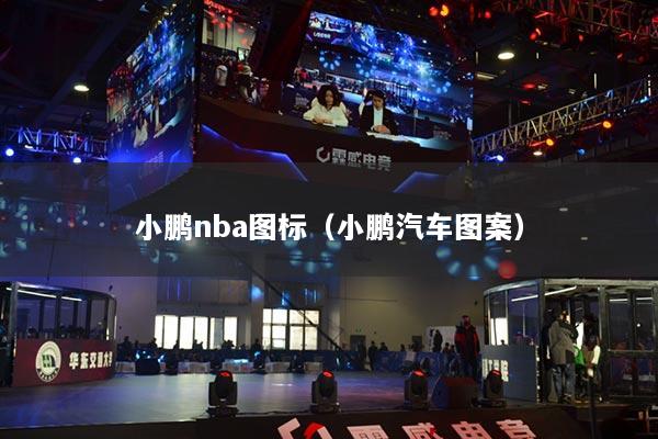 小鹏nba图标(小鹏汽车图案)
