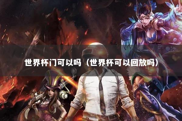 世界杯门可以吗(世界杯可以回放吗)