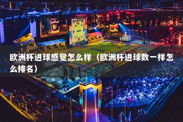 欧洲杯进球感觉怎么样(欧洲杯进球数一样怎么排名)