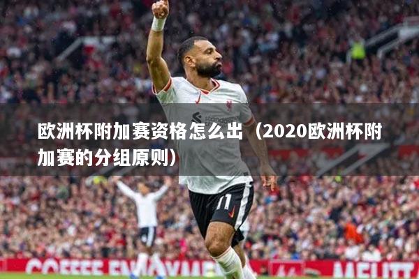 欧洲杯附加赛资格怎么出(2020欧洲杯附加赛的分组原则)