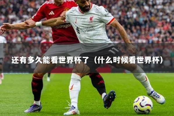 还有多久能看世界杯了(什么时候看世界杯)
