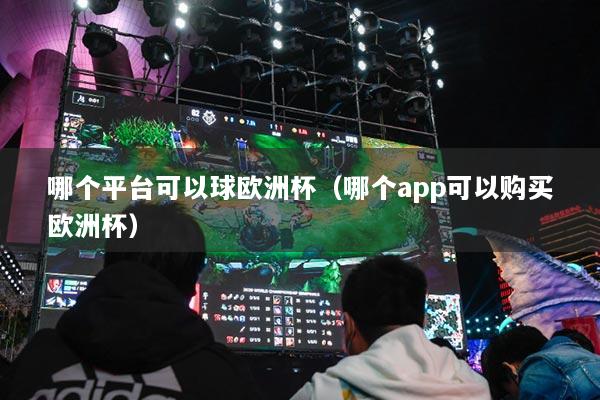 哪个平台可以球欧洲杯(哪个app可以购买欧洲杯)
