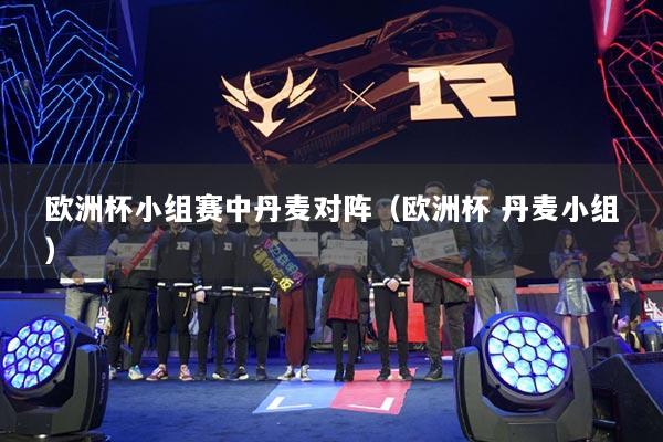 欧洲杯小组赛中丹麦对阵（欧洲杯 丹麦小组）