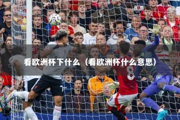 看欧洲杯下什么(看欧洲杯什么意思)