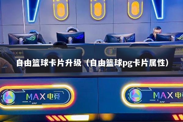 自由篮球卡片升级（自由篮球pg卡片属性）