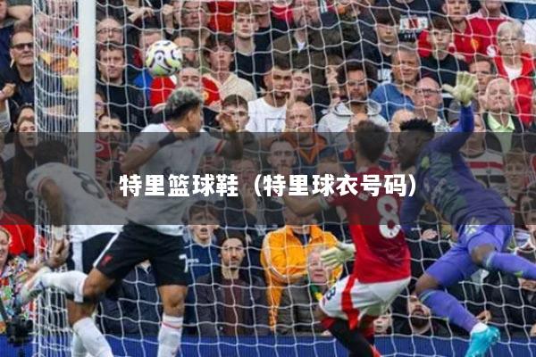 特里篮球鞋（特里球衣号码）