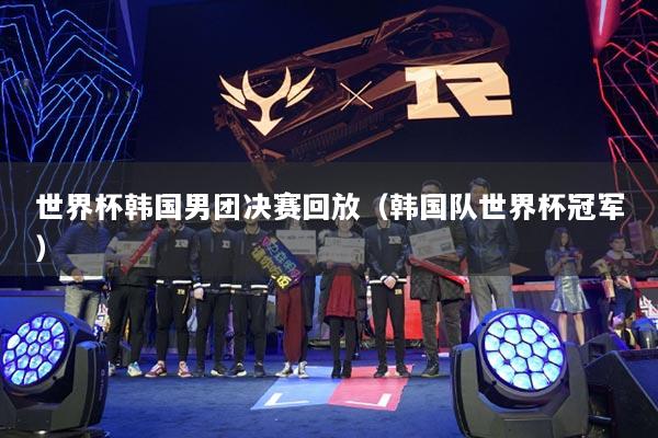 世界杯韩国男团决赛回放(韩国队世界杯冠军)
