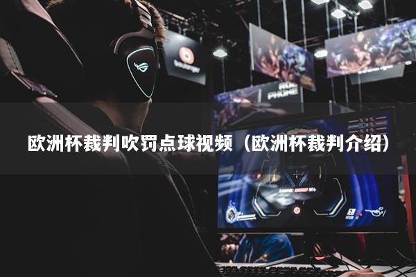 欧洲杯裁判吹罚点球视频（欧洲杯裁判介绍）