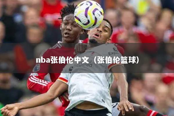 nba张伯伦中文(张伯伦篮球)