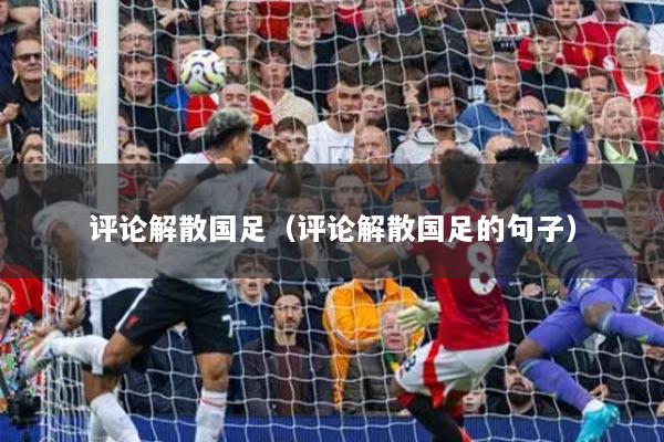 评论解散国足(评论解散国足的句子)
