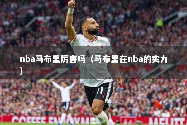 nba马布里厉害吗(马布里在nba的实力)