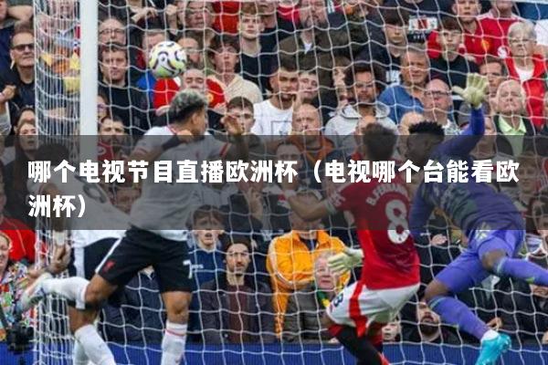 哪个电视节目直播欧洲杯(电视哪个台能看欧洲杯)