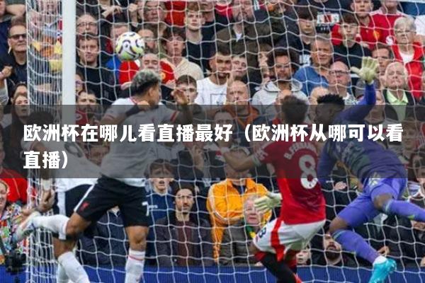 欧洲杯在哪儿看直播最好(欧洲杯从哪可以看直播)