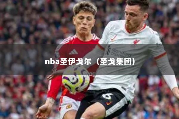 nba圣伊戈尔(圣戈集团)