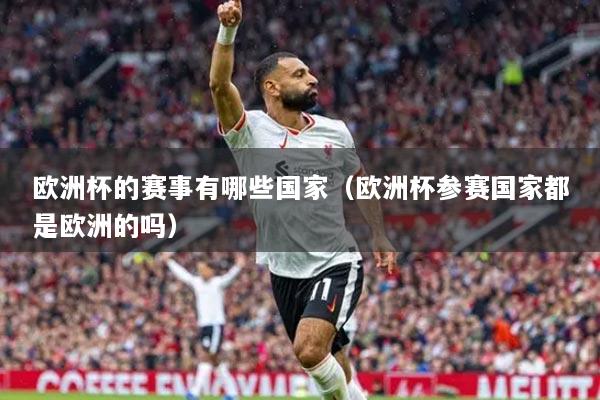 欧洲杯的赛事有哪些国家(欧洲杯参赛国家都是欧洲的吗)
