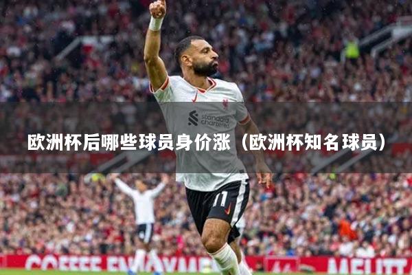 欧洲杯后哪些球员身价涨（欧洲杯知名球员）