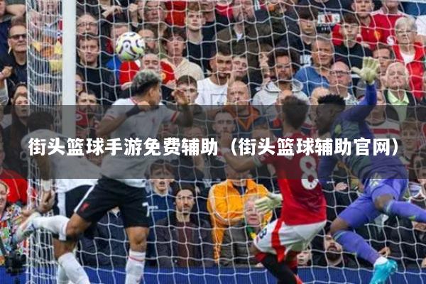 街头篮球手游免费辅助(街头篮球辅助官网)