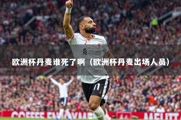 欧洲杯丹麦谁死了啊(欧洲杯丹麦出场人员)