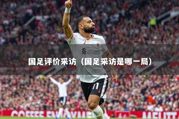 国足评价采访(国足采访是哪一局)