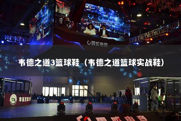 韦德之道3篮球鞋（韦德之道篮球实战鞋）