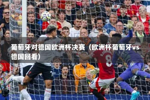 葡萄牙对德国欧洲杯决赛(欧洲杯葡萄牙vs德国回看)