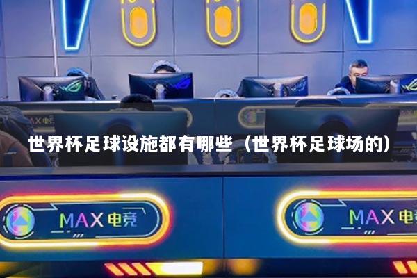 世界杯足球设施都有哪些（世界杯足球场的）