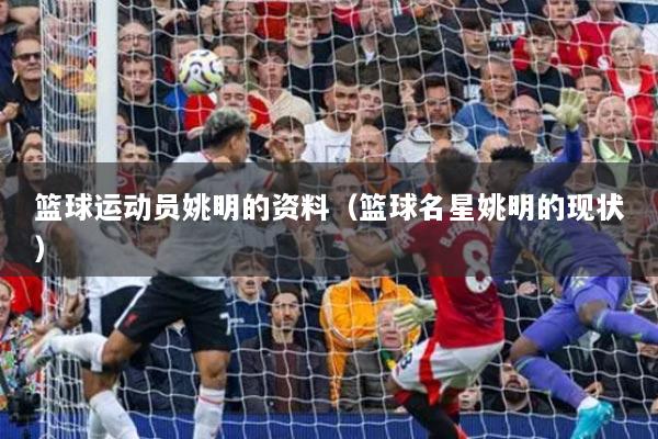 篮球运动员姚明的资料（篮球名星姚明的现状）