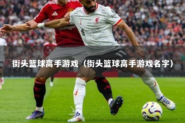 街头篮球高手游戏（街头篮球高手游戏名字）