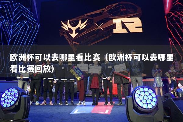 欧洲杯可以去哪里看比赛(欧洲杯可以去哪里看比赛回放)